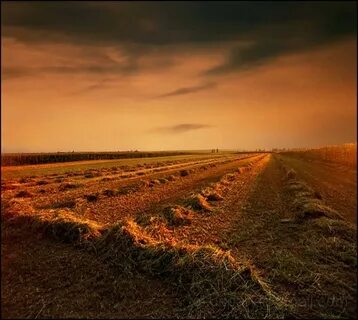 Voyvodina