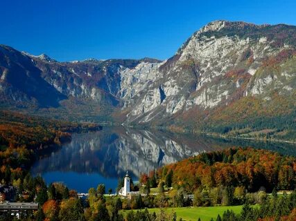 Bohinj Belediyesi