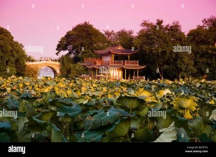 Zhejiang