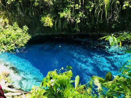 Surigao del Sur