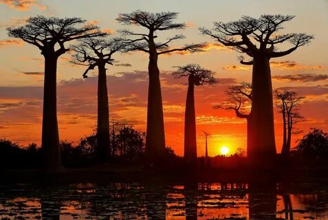 Toliara Eyaleti