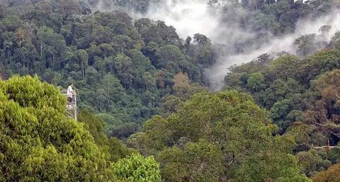 Temburong Bölgesi