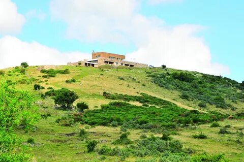 Lavalleja