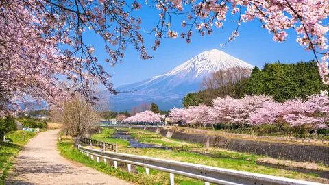 Shizuoka Eyaleti