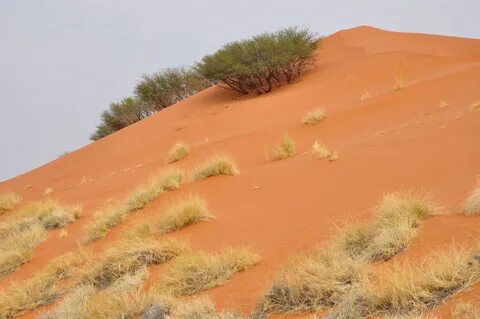 Hardap Bölgesi
