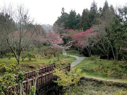 Chiayi