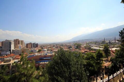 Bursa