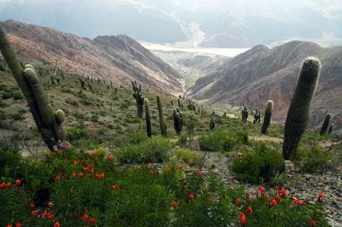 Jujuy