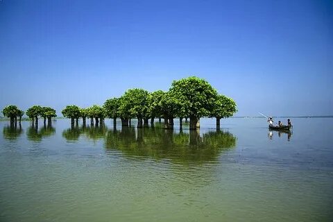Sunamganj Bölgesi