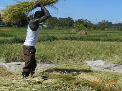 Kirinyaga