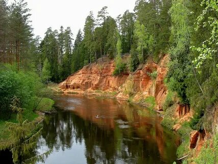 Pārgauja Belediyesi