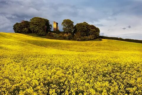 Louth