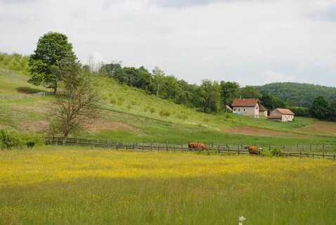 Moravica Bölgesi