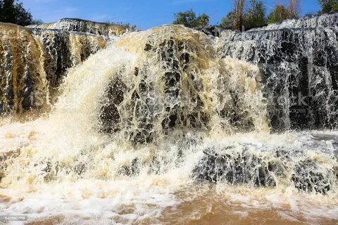 Cascades Bölgesi