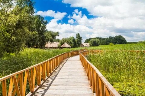 Osijek-Baranja
