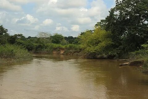 Kissidougou Eyaleti