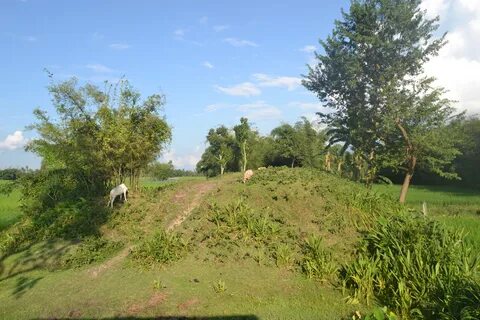 Nilphamari Bölgesi
