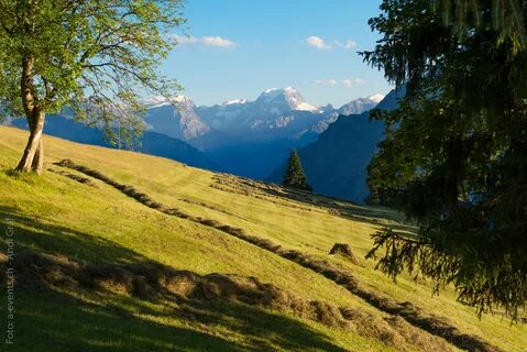 Glarus
