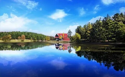 Bolu