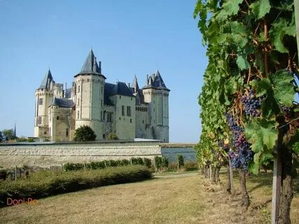 Maine-et-Loire