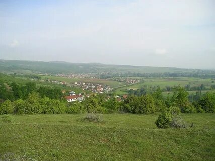 Zelenikovo Belediyesi