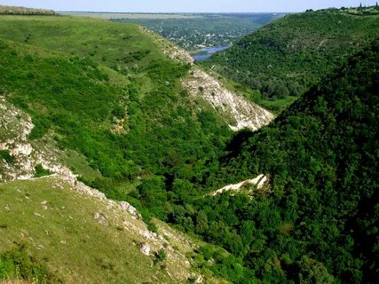 Rezina Bölgesi