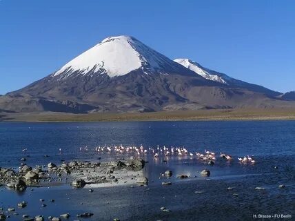 Arica ve Parinacota