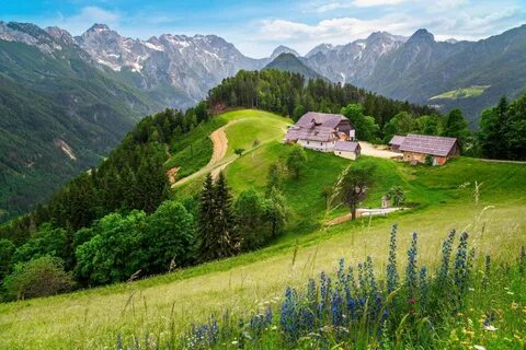 Loška Dolina Belediyesi