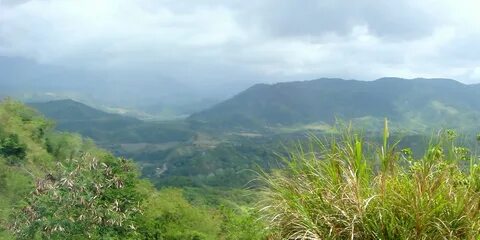 Nueva Ecija