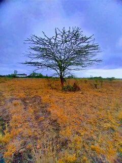 Machakos