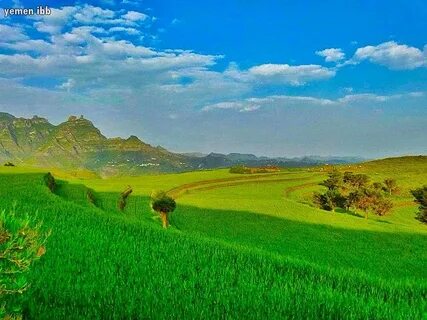 Ibb