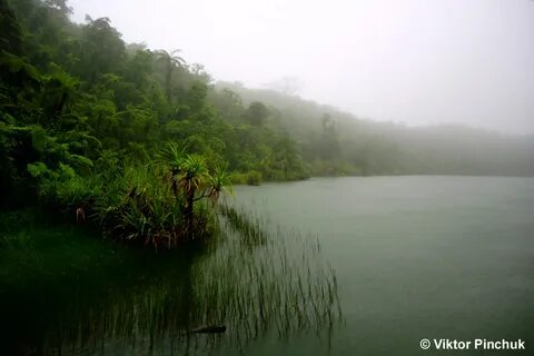 Tuamasaga