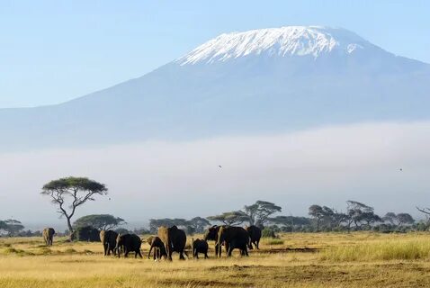 Iringa