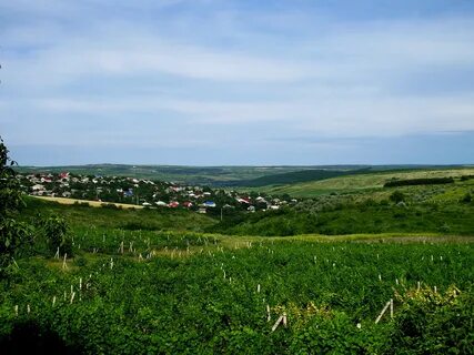 Ialoveni Bölgesi