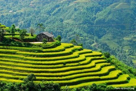 Bắc Giang