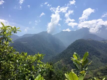 Cauca