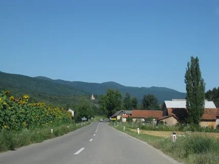 Črnomelj Belediyesi
