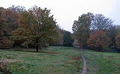 Londra Waltham Ormanı İlçesi