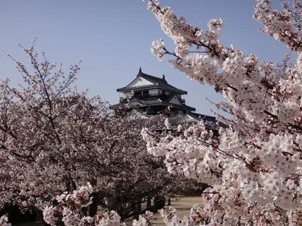 Ehime ili