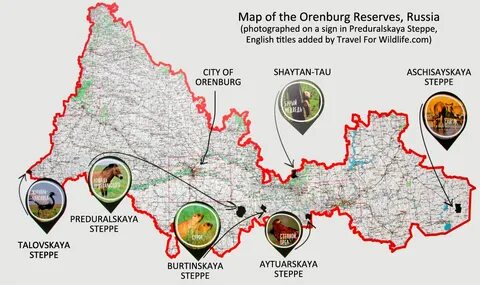 Orenburg Oblastı