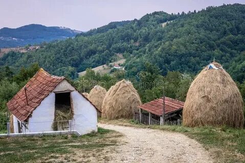 Moravica Bölgesi