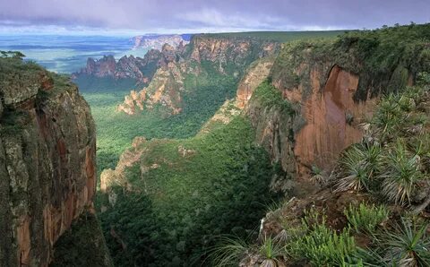 Mato Grosso