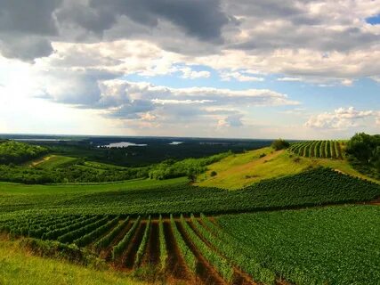 Voyvodina
