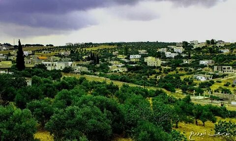 İrbid