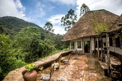 Ntungamo Bölgesi