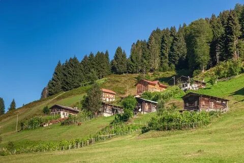 Rize