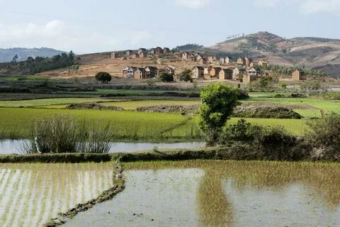 Fianarantsoa Eyaleti