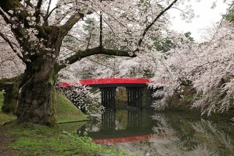 Aomori Eyaleti