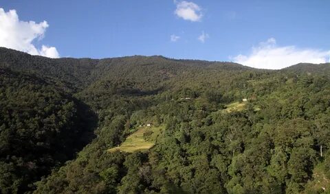 Wangdue Phodrang Bölgesi