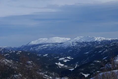 Vestfold ve Telemark